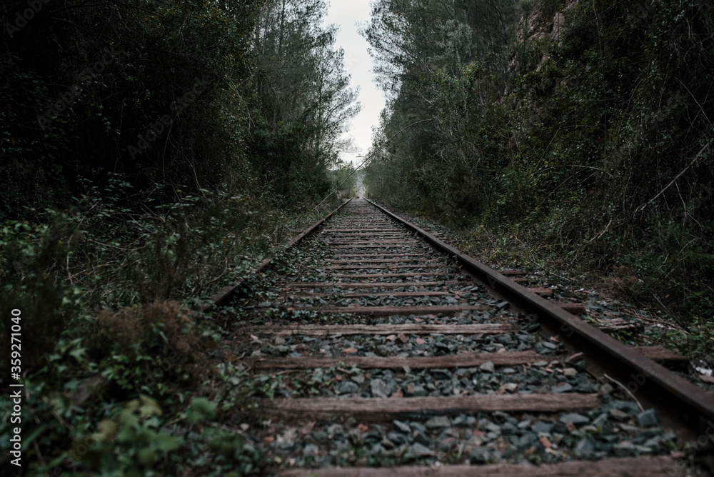 Rail road tracks. Track with rails for train in forest with green meadow on horizon. Rail road tracks. Track with rails for train in forest with green meadow on horizon.