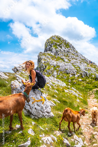 Mount Aizkorri 1523 meters, the highest in Guipúzcoa. Basque Country. Ascent through San Adrián and return through the Oltza fields. A young woman scratching some goats, vertical photo