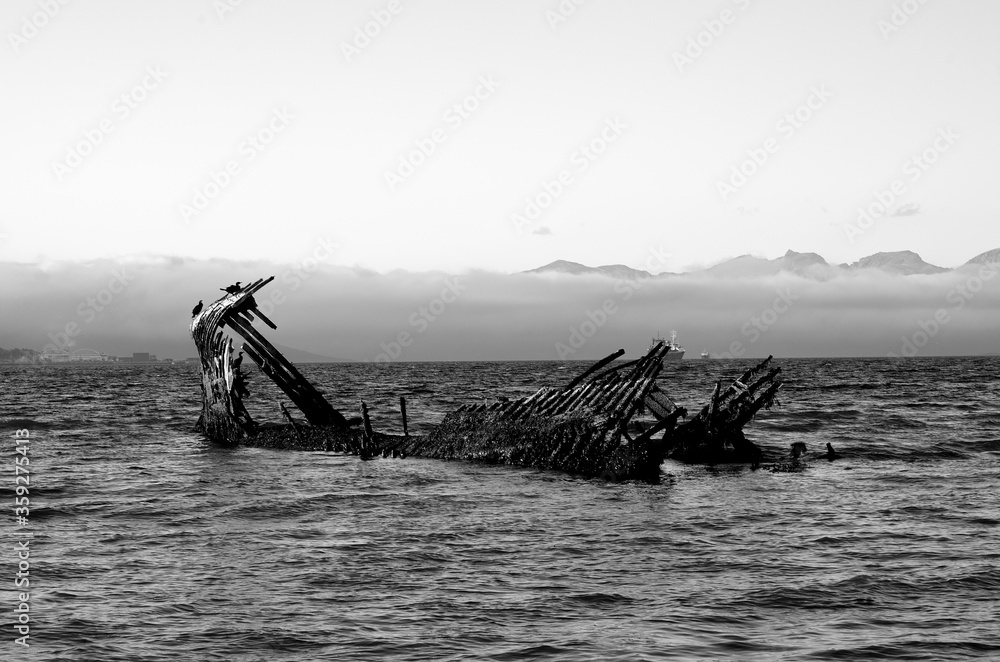 cormorant birds sitting on a wooden ship wreck in a fjord with mountains shrouded in thick fog black and white