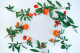 flower arrangement in a circle. of red and orange flowers on a white background. Flatly, the concept of summer or spring, text frame