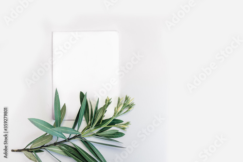 White paper on a light background and green branches. Summer concept. Flat lay, top view, copy space
