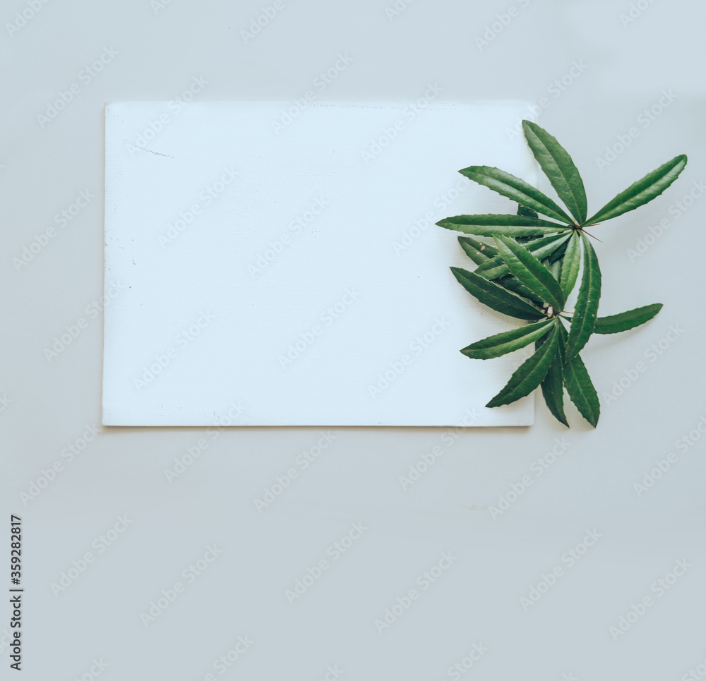 White paper on a light background and green branches and white sheet. Summer concept. Flat lay, top view, copy space