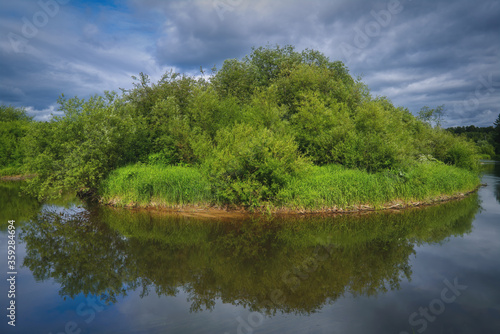 Beautiful summer landscape, forest trees are reflected in calm river water against a background of blue sky and white clouds.