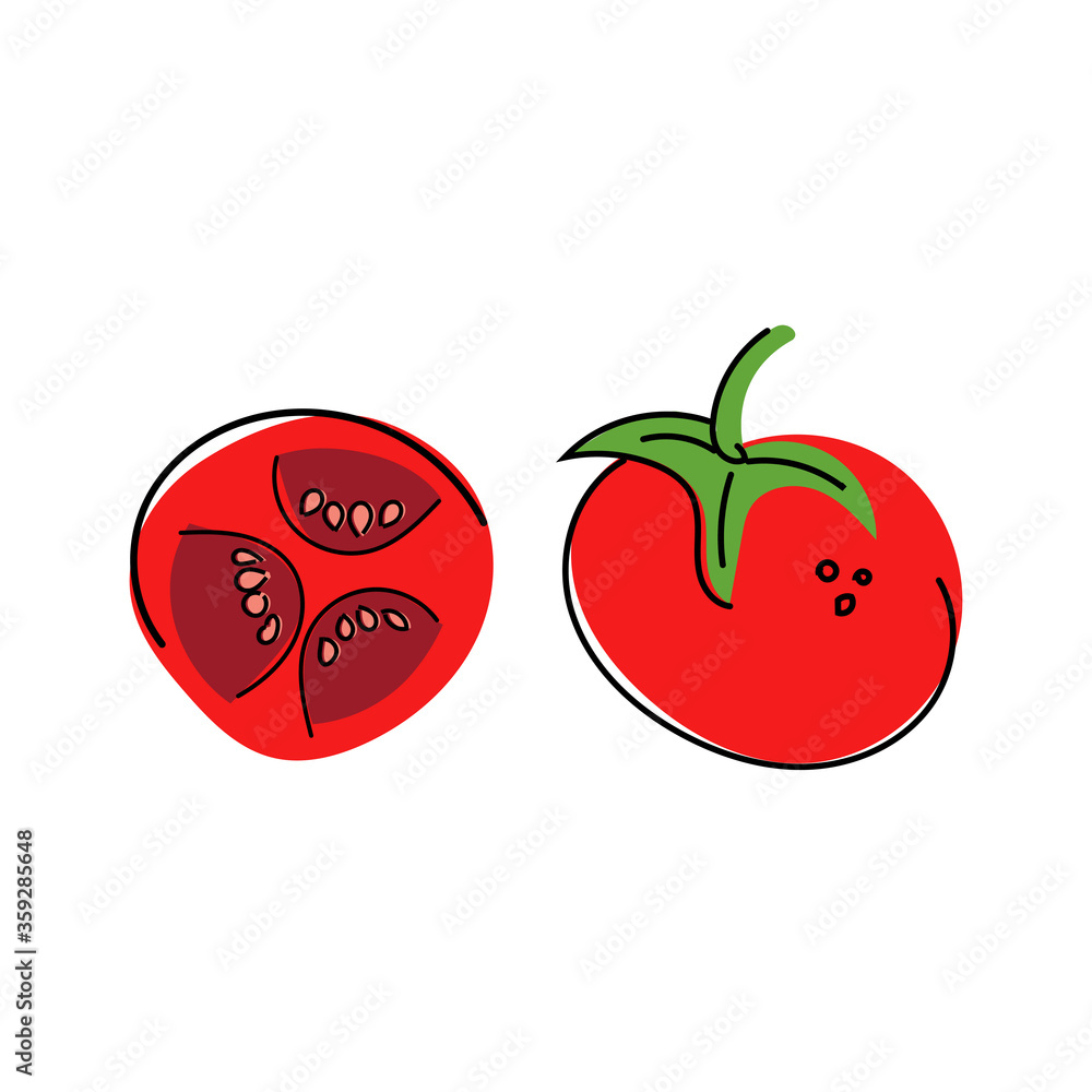 Fototapeta premium Hand-drawn vector illustration of a whole tomato, tomato cut in half with seeds. Vegetables. Diet healthy food. Healthy eating Ingredients. Vegetarian. Farm.The background is white. Flat. Contour.
