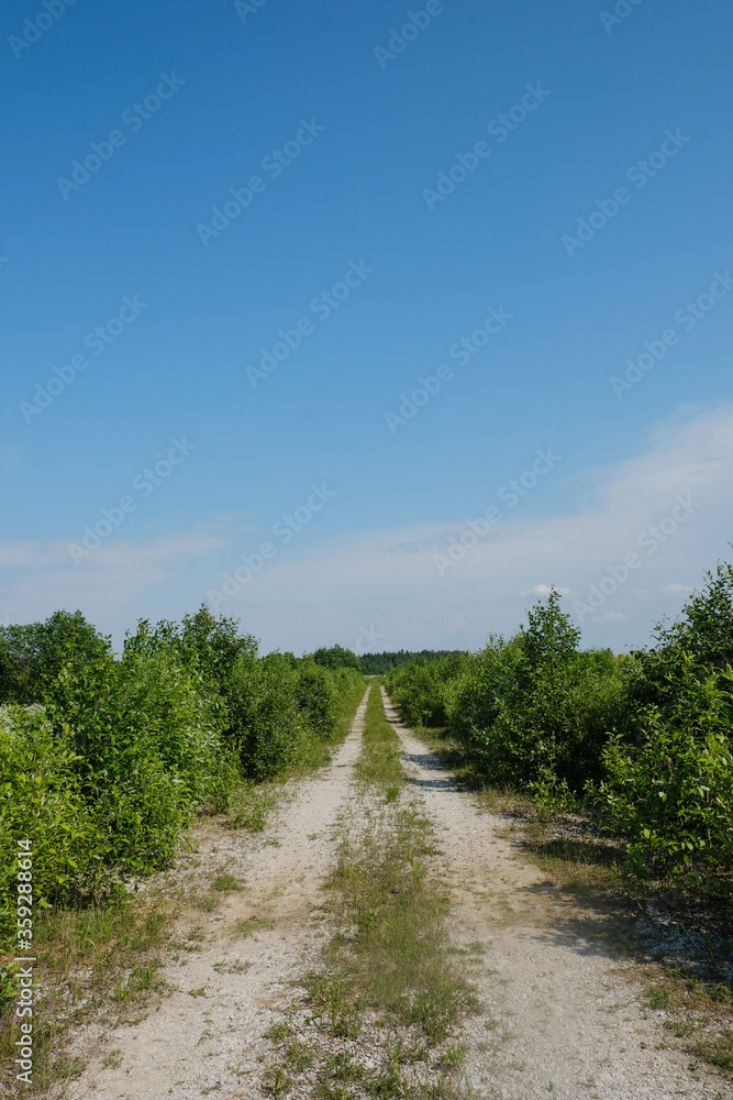 landscape overlooking a rural road on a sunny day in Russia