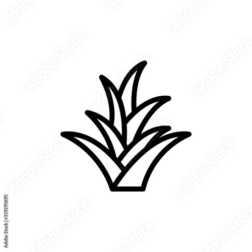 Bromeliaceae leaf icon. Simple line, outline vector elements of botanicals icons for ui and ux, website or mobile application