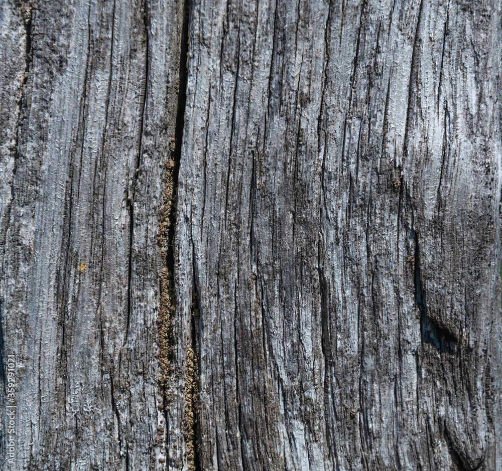 Continuous dark gray wooden cutting board. Wood texture. Continuous dark gray wooden cutting board. Wood texture.
