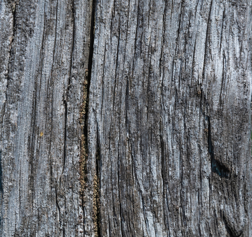 Continuous dark gray wooden cutting board. Wood texture.