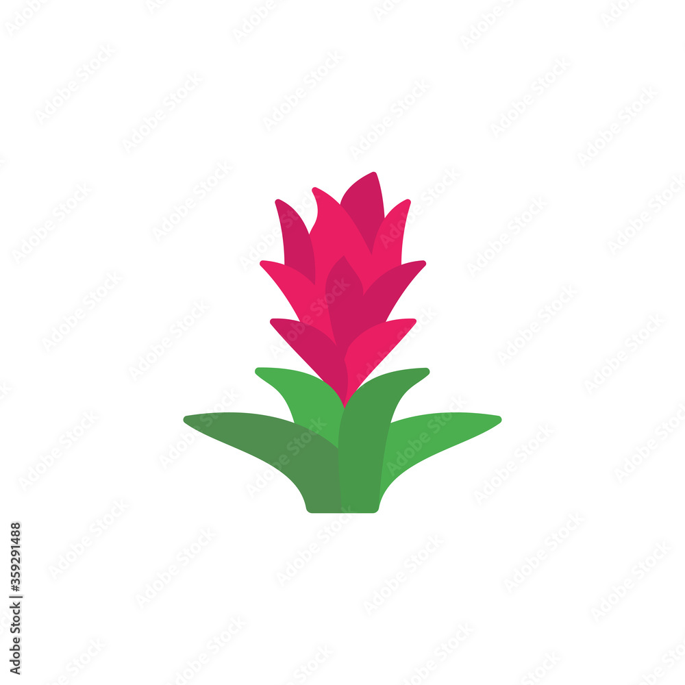 Bromeliaceae leaf icon. Simple color vector elements of botanicals icons for ui and ux, website or mobile application