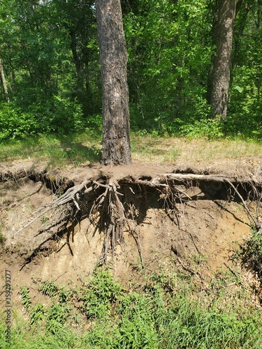 Minnesota in the summer time