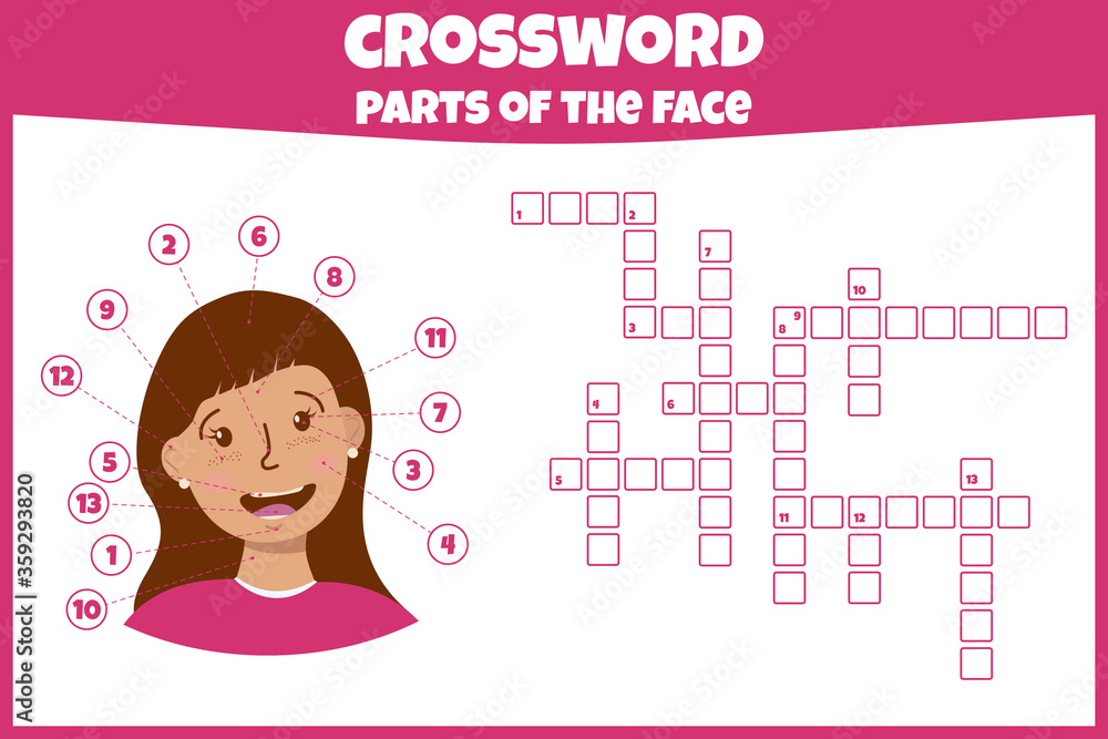 Crossword with parts of the face. Parts of the face. Vector education
