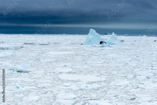 Landcape of the ice formations of Antarctica © Anton Ivanov Photo