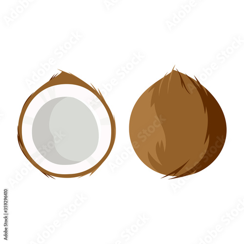 coconut isolated on white background, vector illustration