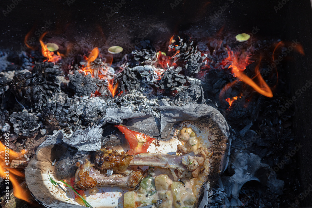 A paper plate with leftover food burns in a bonfire.
Concept: nature conservation A paper plate with leftover food burns in a bonfire.
Concept: nature conservation