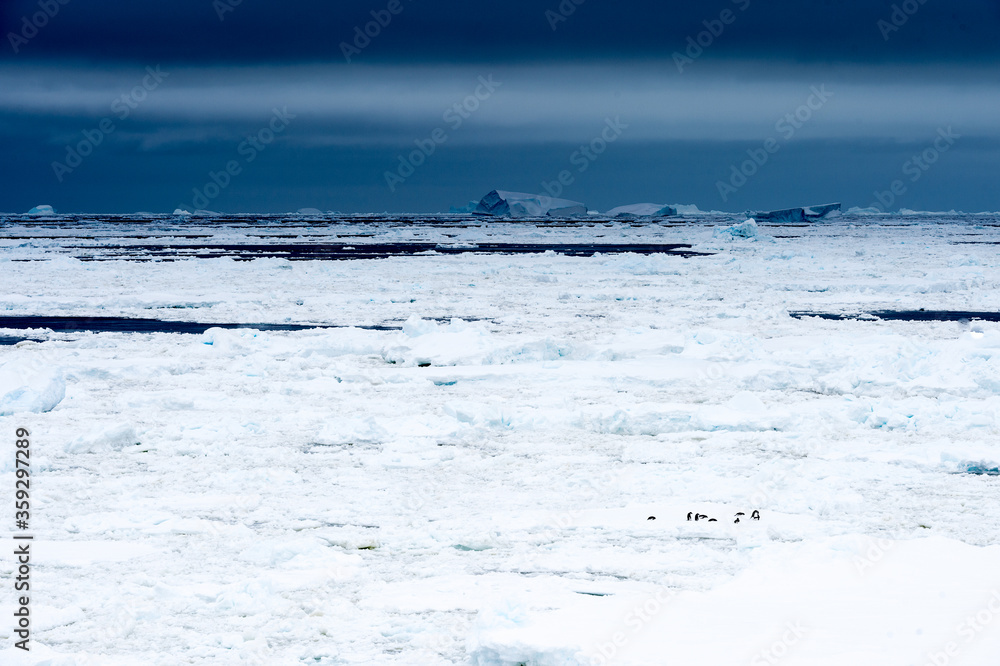 Ice on the surface of the ocean in Antarctica Ice on the surface of the ocean in Antarctica