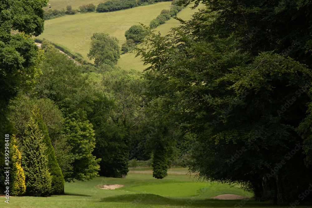 Obraz premium widok pola lasu