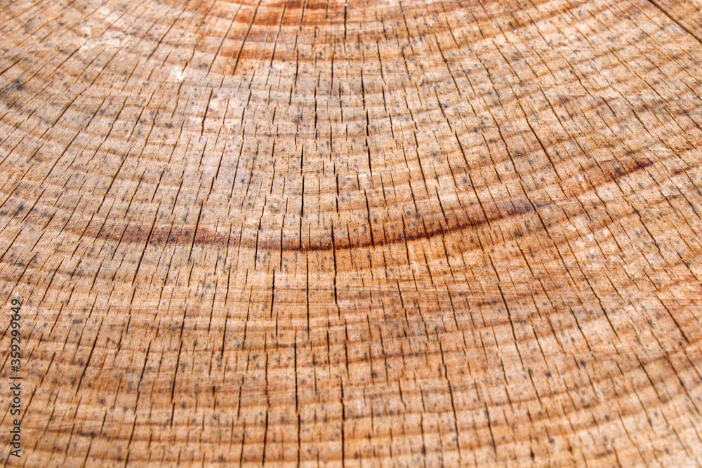 Naklejka premium Wooden background, Cut tree pattern. Texture of cut and dry tree. Tree age rings. Cracks on the wooden background.