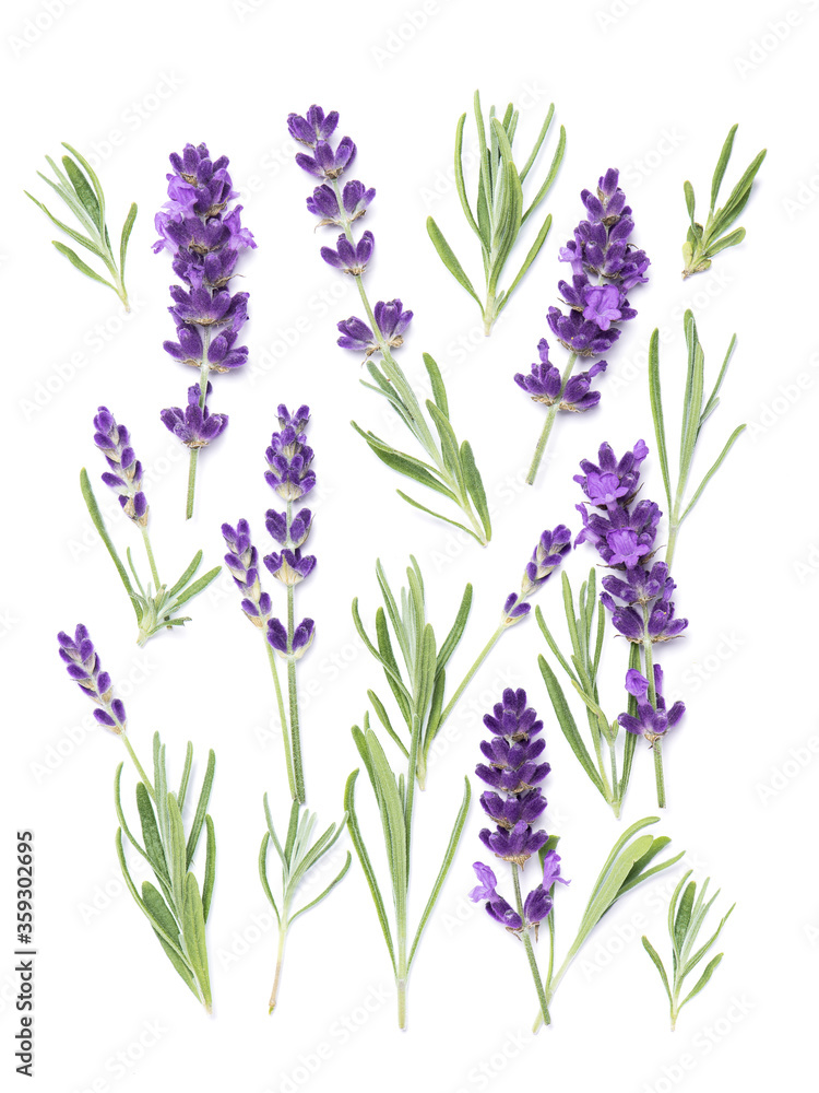 Fototapeta premium Lawenda kwiaty zioło białe tło Floral flat lay