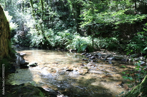 Cabreia , Sever do Vouga
