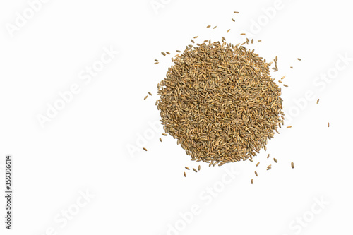 Grains of wheat, barley, rye, oat on white background close up, natural dry grain in the form of circle with scattered seeds on the right side, wheat grains, isolated, top view. Free space for text