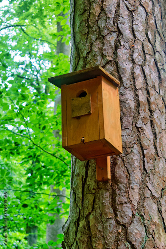 Wooden bird house (nestbox) on a tree