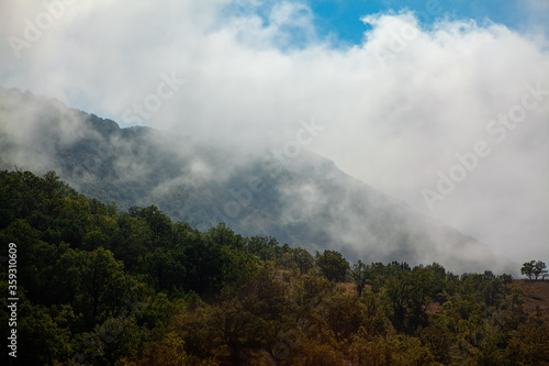 dense fog over the mountain