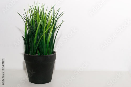 Fake grass in a black plastic pot with copy space.