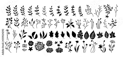 Flower, branch and leaf set, botanical black glyph. Abstract silhouette different beautiful floral design elements. Flat floral cartoon eco collection. Engravings isolated flowers. Vector illustration