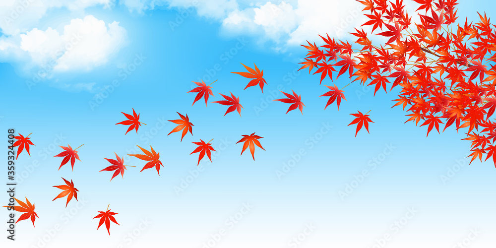 紅葉 もみじ 秋 背景
紅葉 もみじ 秋 背景