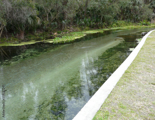 Rock Springs at Kelly Park Florida. Beautiful Rock Springs Run at Kelly Park near Apopka, Florida, is part of the Wekiva River system. The wildlife preserve is popular for tubing and swimming. photo