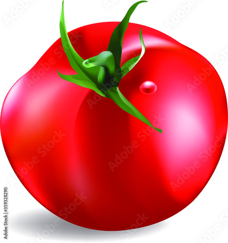 Ripe tomato isolated on white background photo