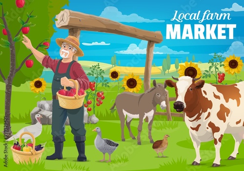 Gardening and farming, farmer and farm animals, cow cattle and poultry, agriculture vector poster. Farmer gathering harvest at farmland field, donkey, chicken hen, goose and turkey poultry birds