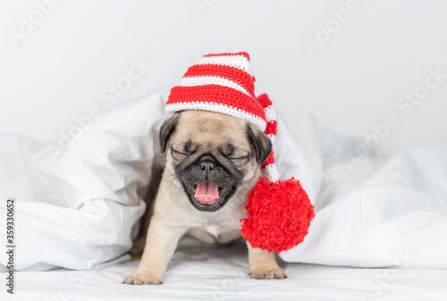 Fototapeta Naklejka Na Ścianę i Meble -  Pug puppy wearing a warm hat sits under warm blanket on the bed and yawning