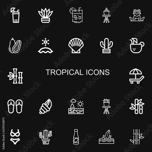 Editable 22 tropical icons for web and mobile