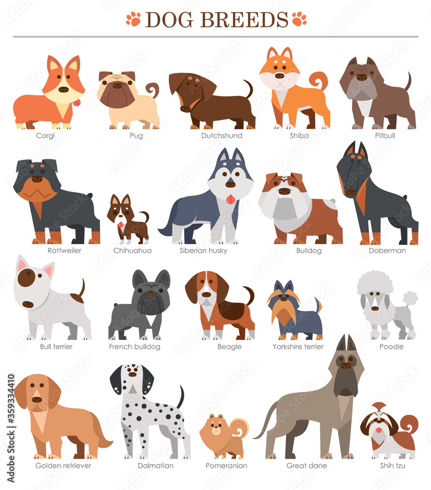 Vector illustration of Cartoon dogs breeds set. Cute dog.