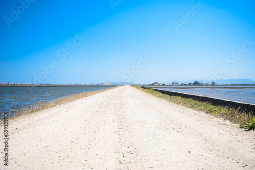 Rice fields near Valencia.