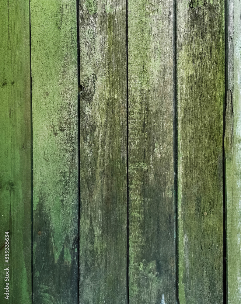 Fototapeta premium Green wood texture background. .Old ragged painted fence.