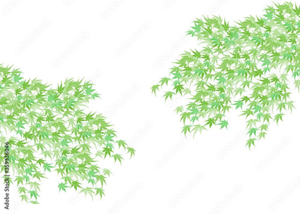 もみじ 新緑 暑中見舞い 背景 もみじ 新緑 暑中見舞い 背景