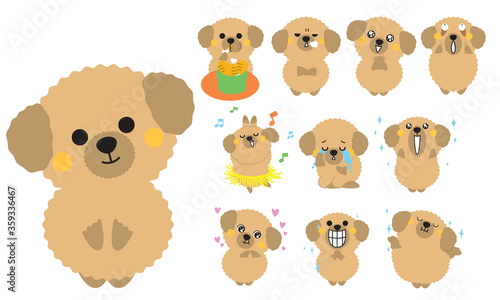Poodle Dogs Flat style cartoon vector