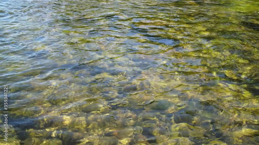 Stones Under The Water In Stream Of River Stones Under The Water In Stream Of River