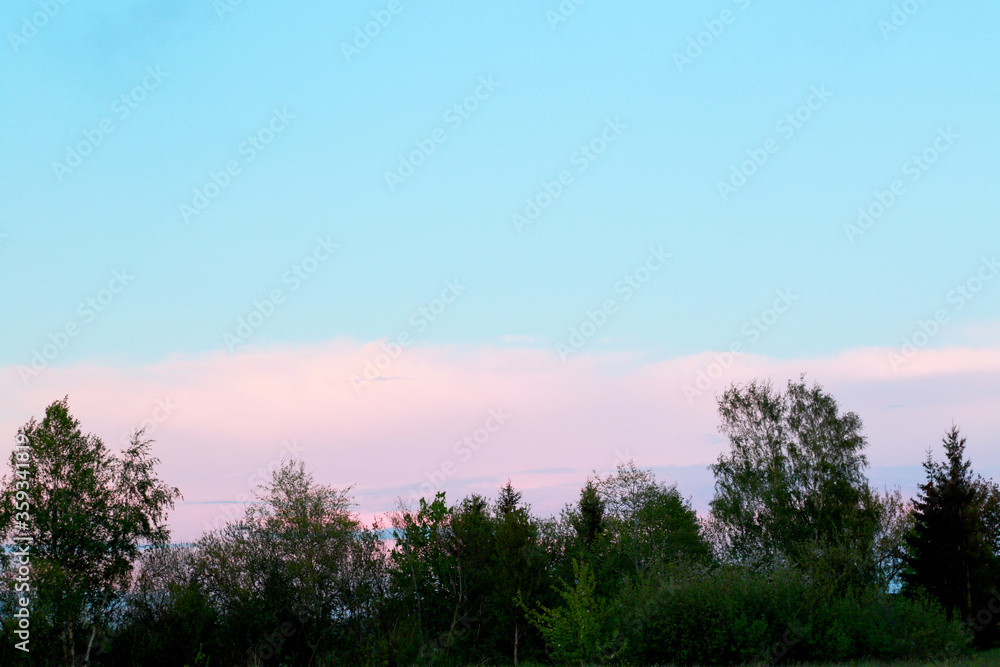 sunset over the field with pastel pink clouds