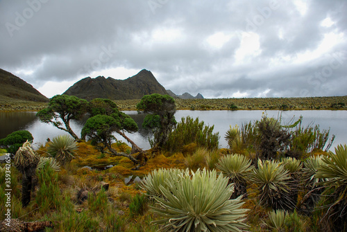 Páramo de sumapaz photo