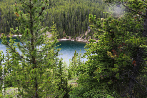 Canadian Mountains with Trees, Rocks, and Lakes