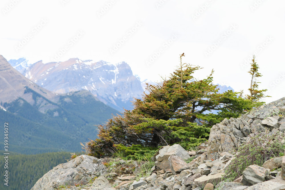 Canadian Mountains with Trees, Rocks, and Lakes Canadian Mountains with Trees, Rocks, and Lakes