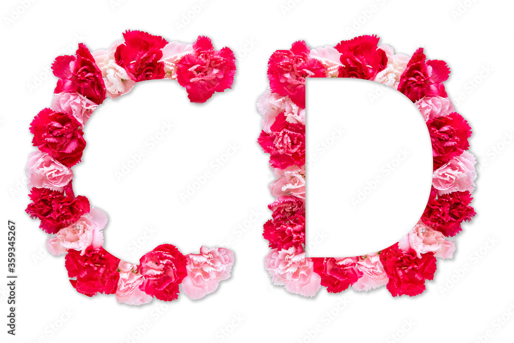 flower font alphabet C D set (collection A-Z), made from real Carnation flowers pink, red color with paper cut shape of capital letter. flora font for text, typography decoration isolated on white