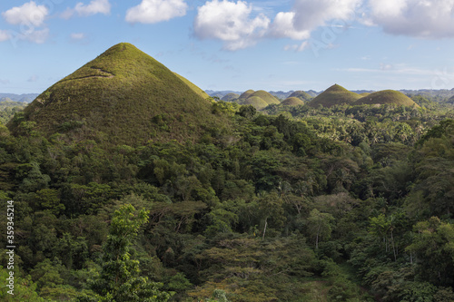 Chocolate hills. Unique truffle shaped formations is the main attraction of Bohol island  Philippines