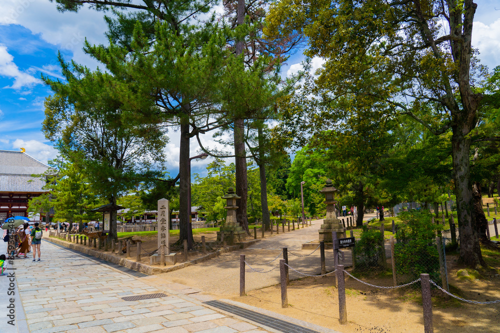 Landscape of Nara Park in Japan
