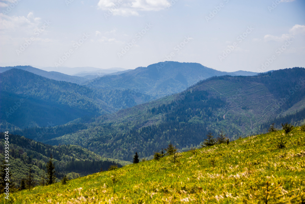 a Carpathian landscape