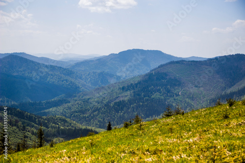 a Carpathian landscape © Petro Teslenko