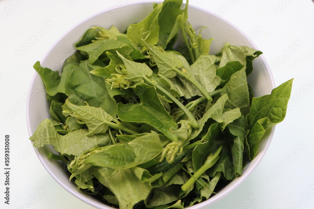 chayote or Sechium edule leaves in white bowl, green leafy vegetable chayote or Sechium edule leaves in white bowl, green leafy vegetable